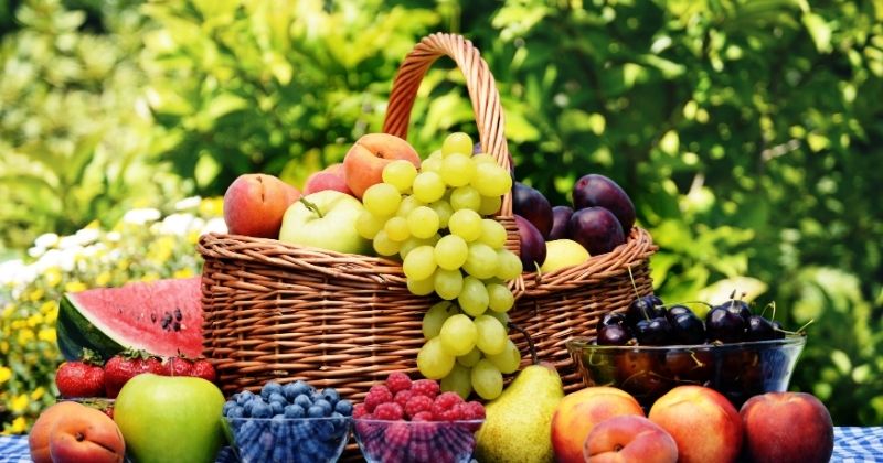 Không phải mọi loại trái cây đều giống nhau